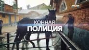 Серія 3