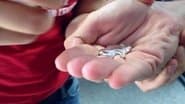 Серія 19