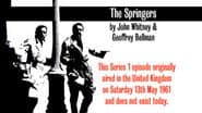Reconstruction of episode (2) The Springers (s01e14)