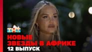 Серія 12