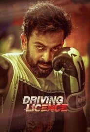 ഡ്രൈവിംഗ് ലൈസൻസ്