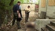 Серія 3