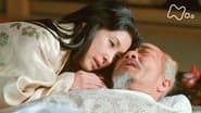 Hideyoshi's Death