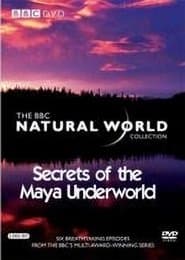 Secrets Of The Maya Underworld