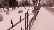 Серія 6