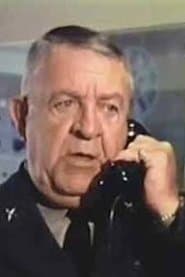 Air Force Chief