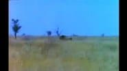Серія 6