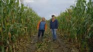 Rare Crop Harvest