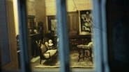 Dollhouse of the Damned