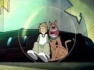 Zoinks the Wonder Dog