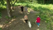 Серія 4