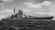 Серія 14