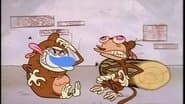 Monkey See, Monkey Don't