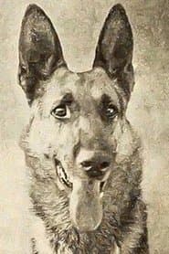 the dog