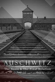 Miniseries