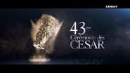 Серія 1