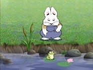 Max's Froggy Friend