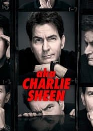 Miniseries