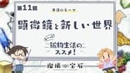 Episode 11
