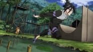 The Ninja Who Is Too Complicated