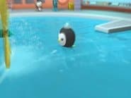 The Great Penguin Race