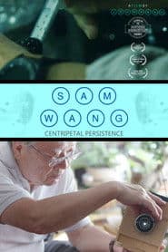 Sam Wang: Centripetal Persistence