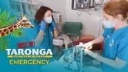 Emergency