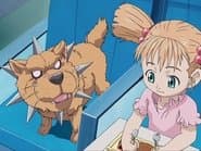 Take Back Cerberus!
