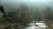 Серія 11