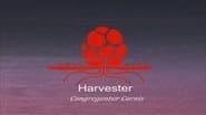 Living Meat Research Documentary 5 - Harvesters