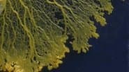 Серія 10