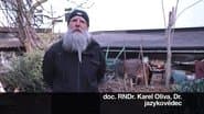 Серія 71