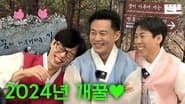 New Year's Greeting is just an excuse(Pinggyego)