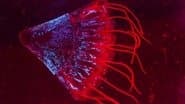 Lights in the Abyss
