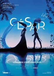 Сезон 49