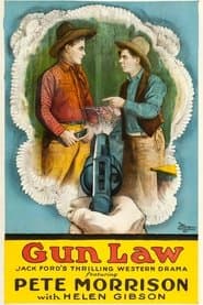 Gun Law