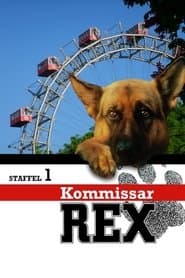Сезон 1