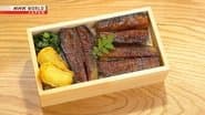 Fried Tofu Patty (Ganmodoki) Bento & Unagi-style Eggplant (Unagi Modoki) Bento