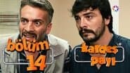 Серія 14