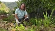 Episode 25 Weed label, Flood, Fruit fly, Terrarium & Rav