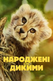 Сезон 1
