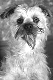 Laughing Gravy - the Dog (uncredited)
