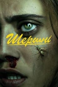 Сезон 1