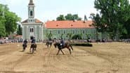 Серія 14