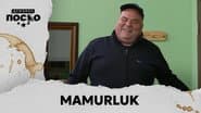 2244 Mamurluk
