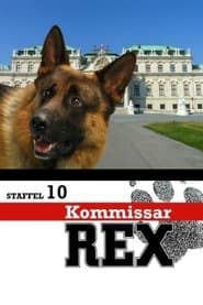 Сезон 10