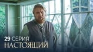 Серія 29