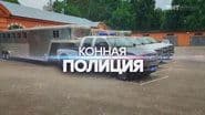 Серія 6