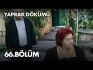 Episode 66