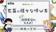 Episode 9